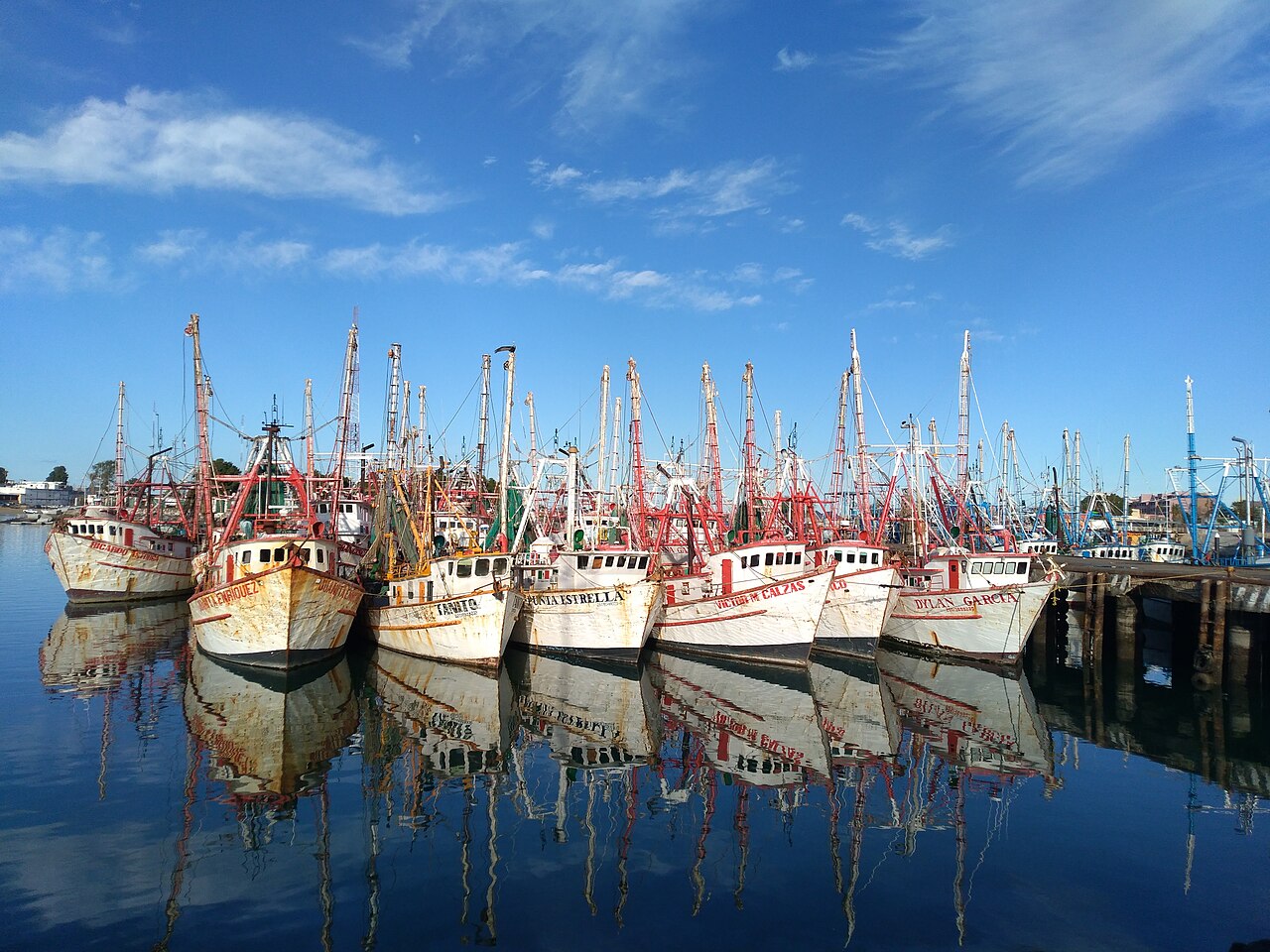 Foto de Malecón de Puerto Peñasco (4)