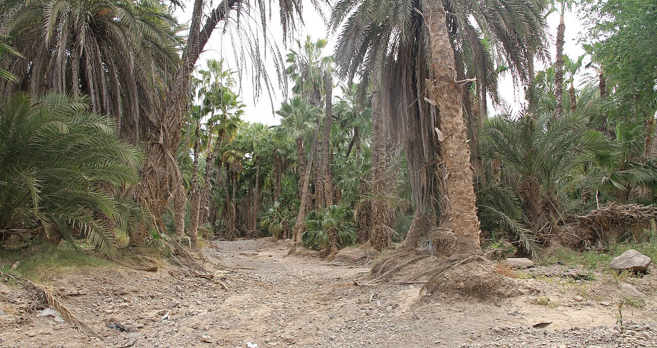 Photo of Carretera 1: Santa Rosalía → Mulegé (3)