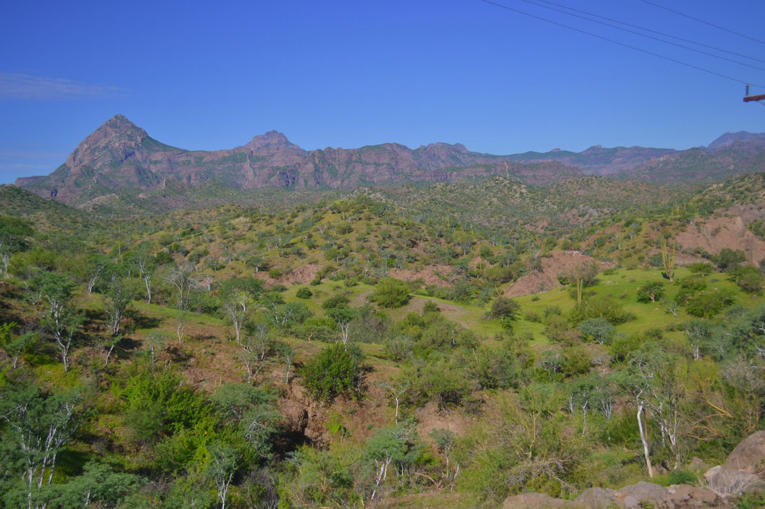 Photo of Loreto → Misión de San Javier por la Sierra de la Giganta (3)