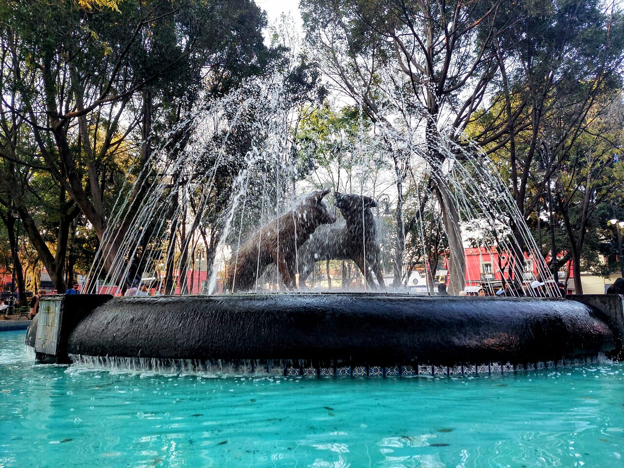 Foto de Centro de Coyoacán (4)