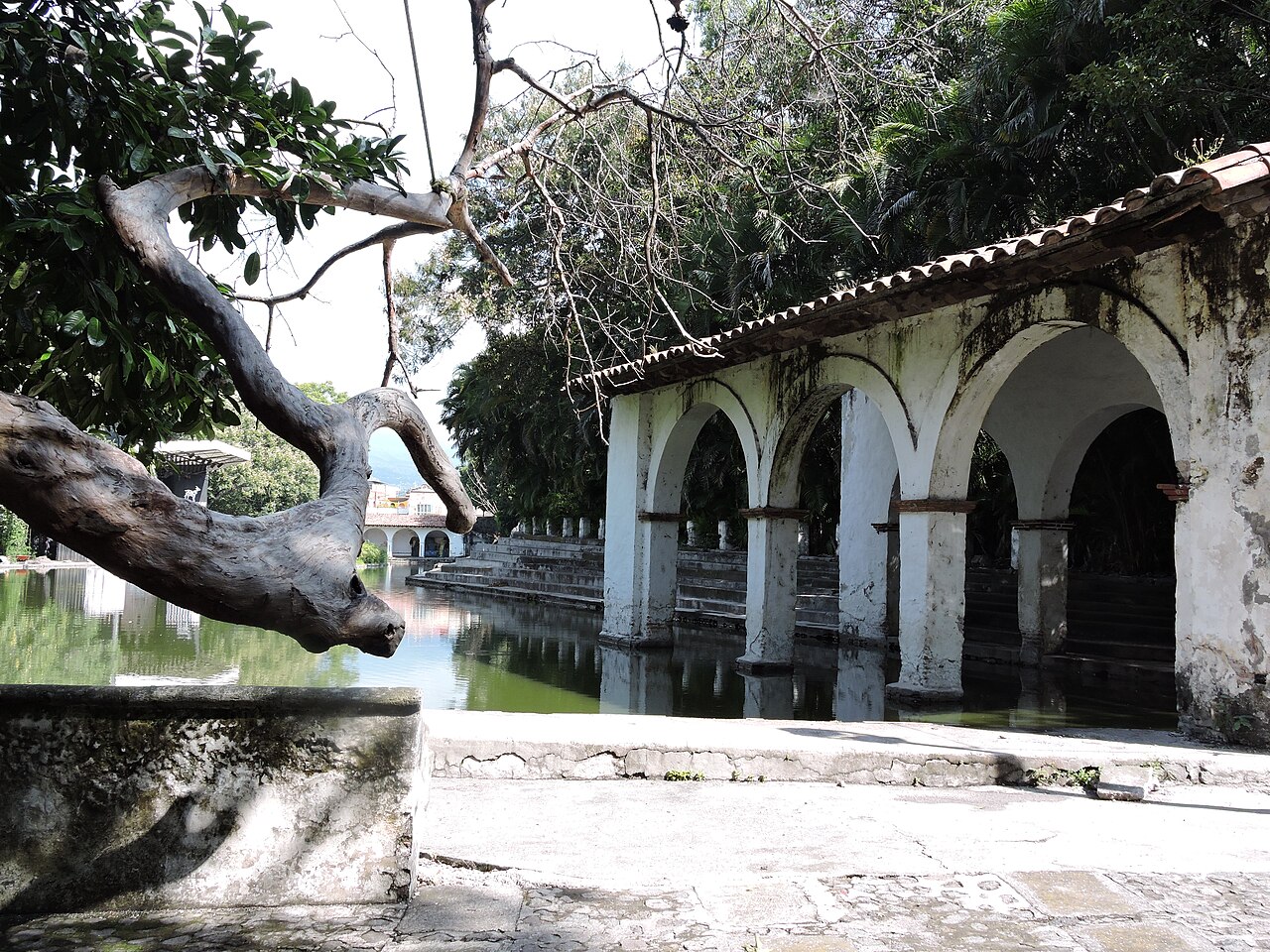 Foto de Jardín Borda (4)