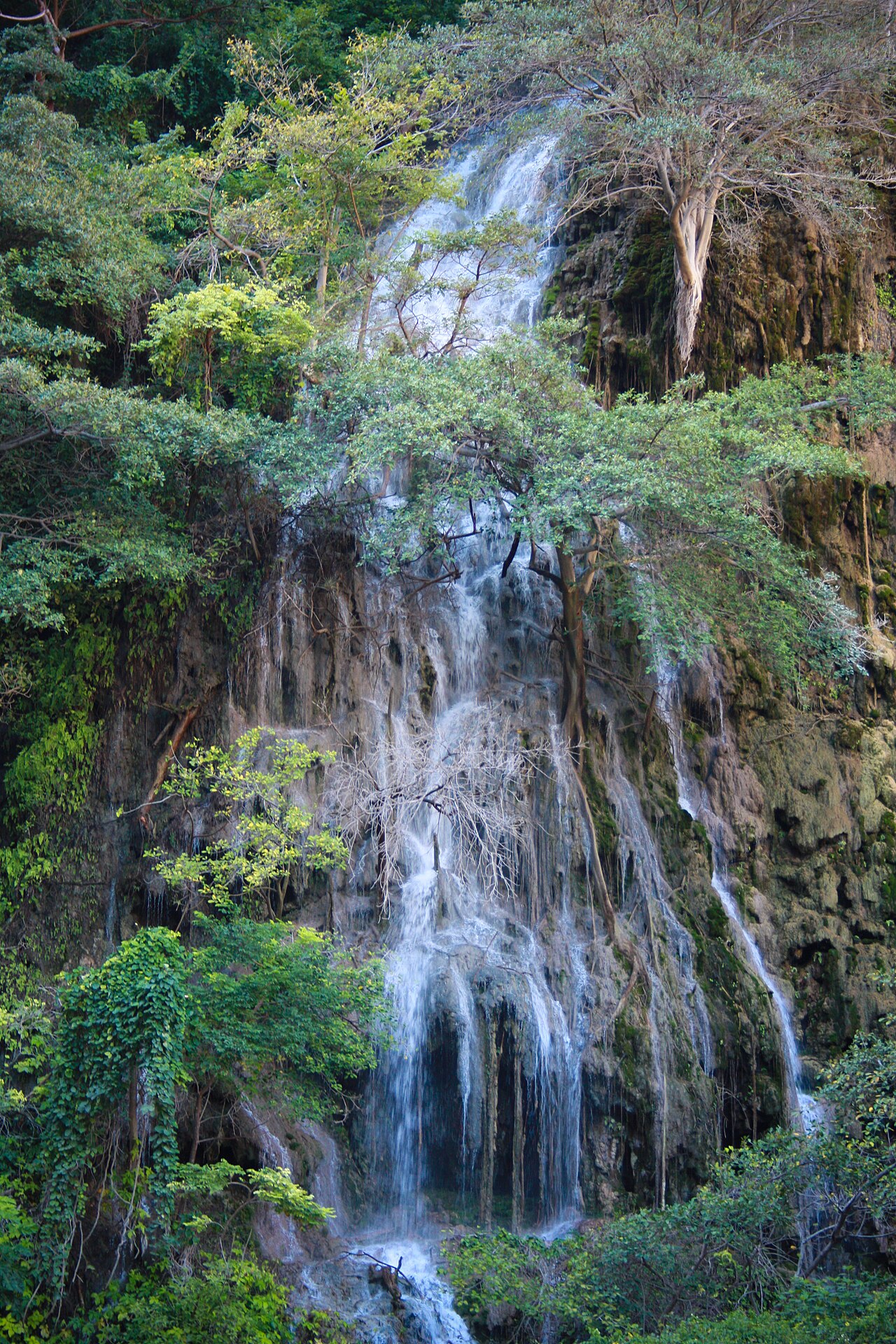 Foto de Grutas de Tolantongo (5)