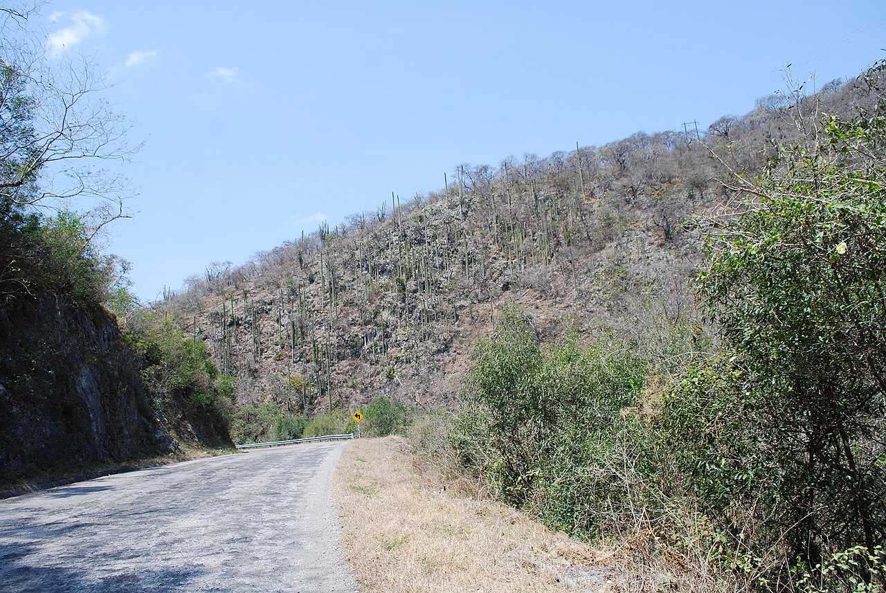 Photo of Misión de Tancoyol (4)