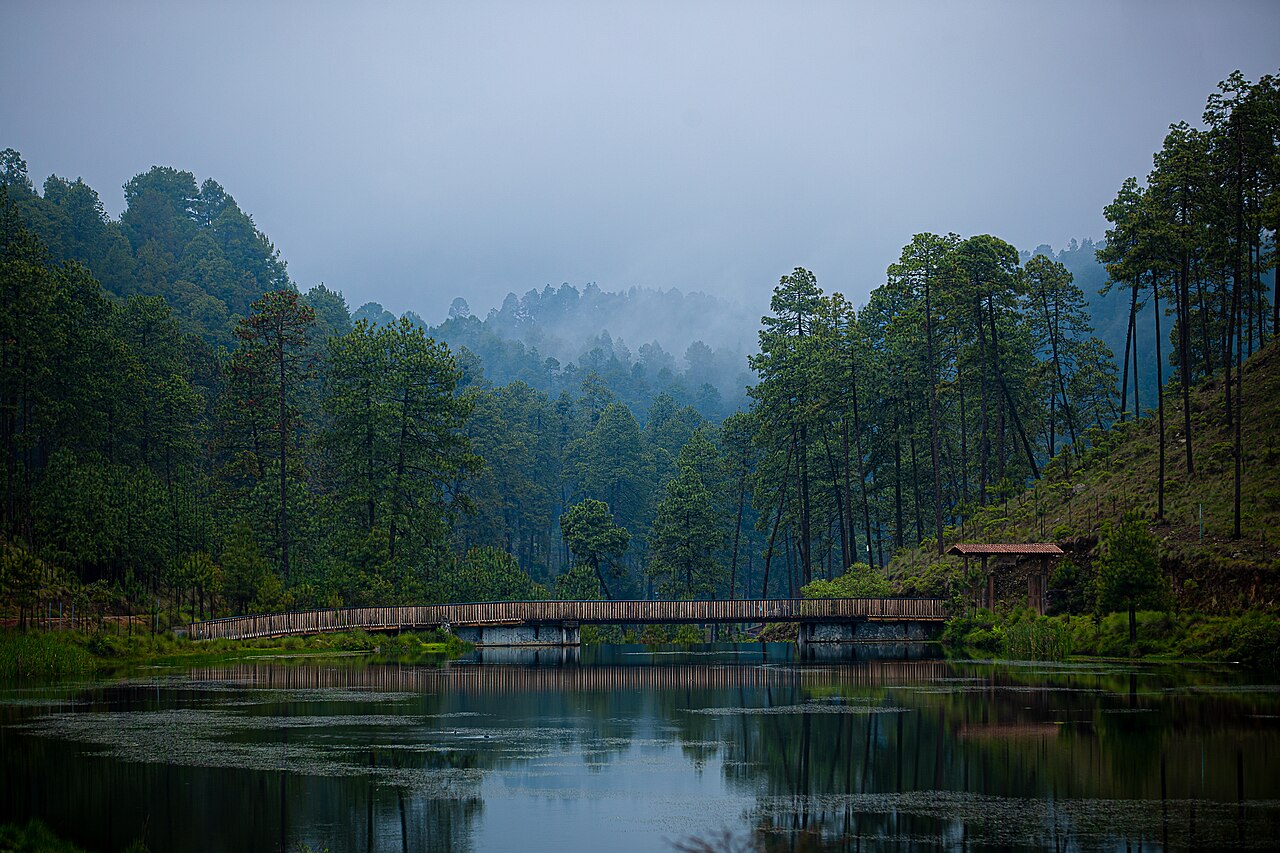 Foto de Toluca → Valle de Bravo por Amanalco (3)