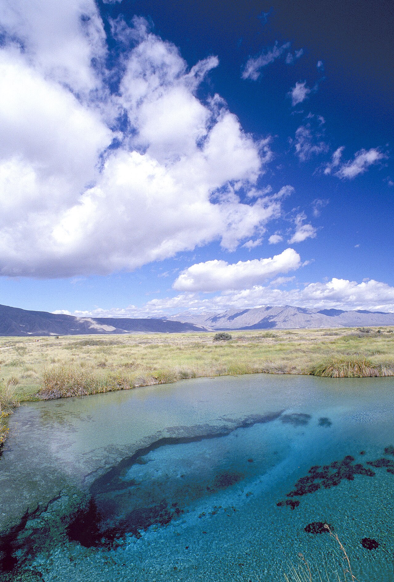 Foto de Poza Azul, Cuatro Ciénegas (3)