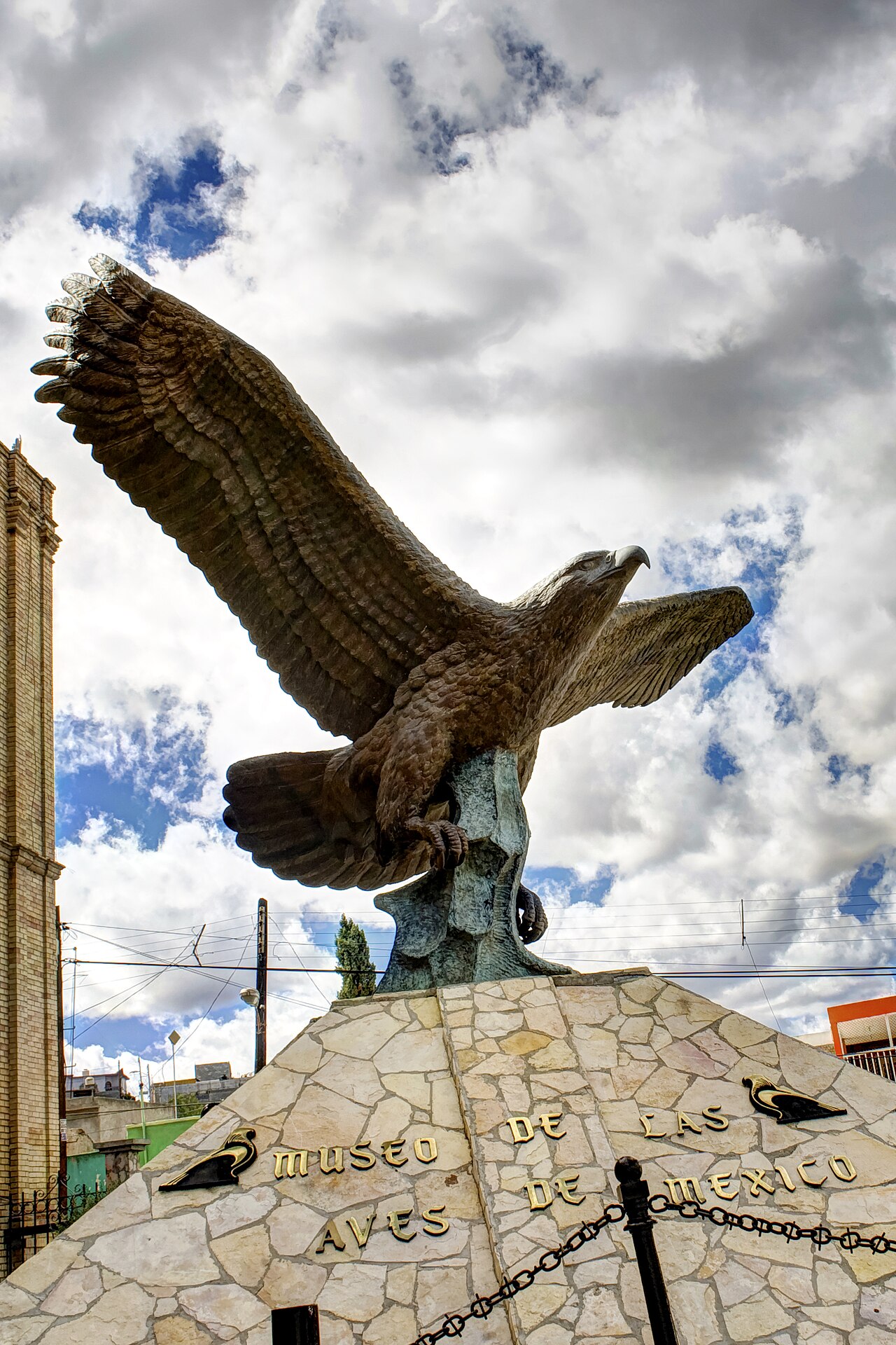 Foto de Museo de las Aves de México (3)
