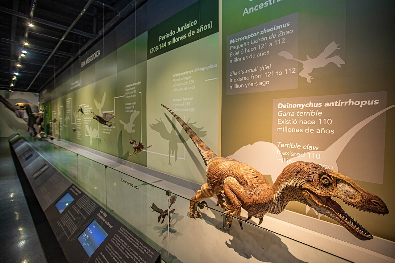 Foto de Museo de las Aves de México (4)