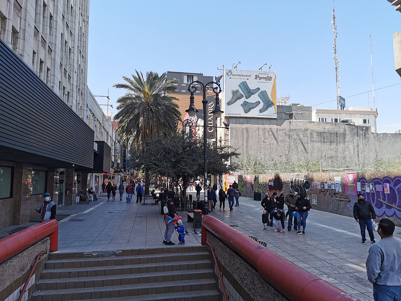 Foto de Macroplaza (4)