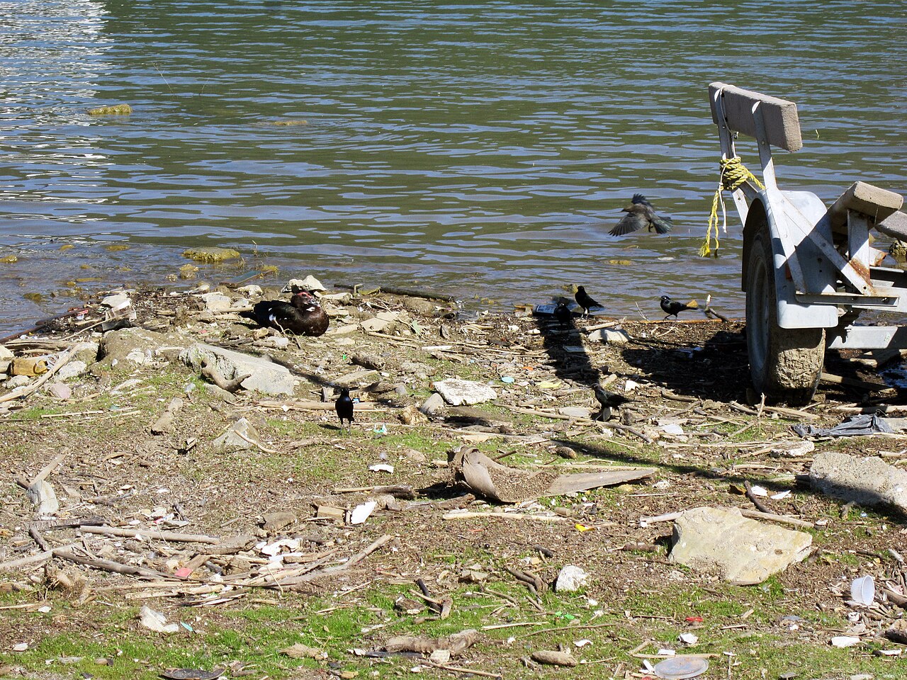 Foto de Presa La Boca (2)