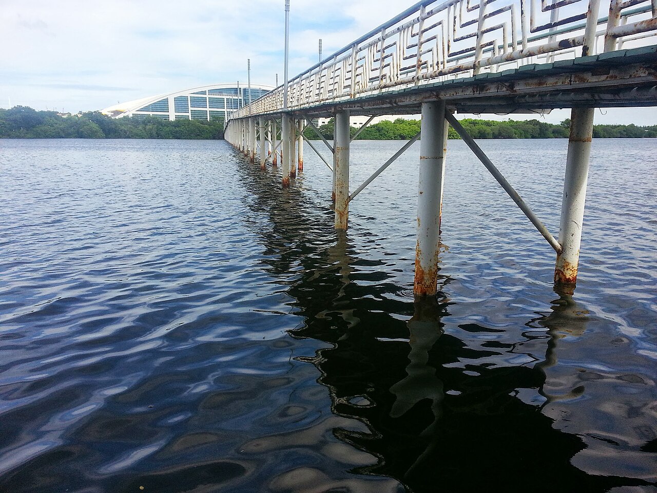 Foto de Laguna del Carpintero (3)