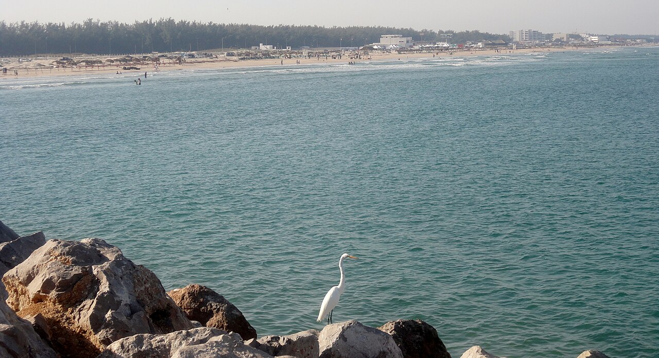Foto de Playa Miramar (4)
