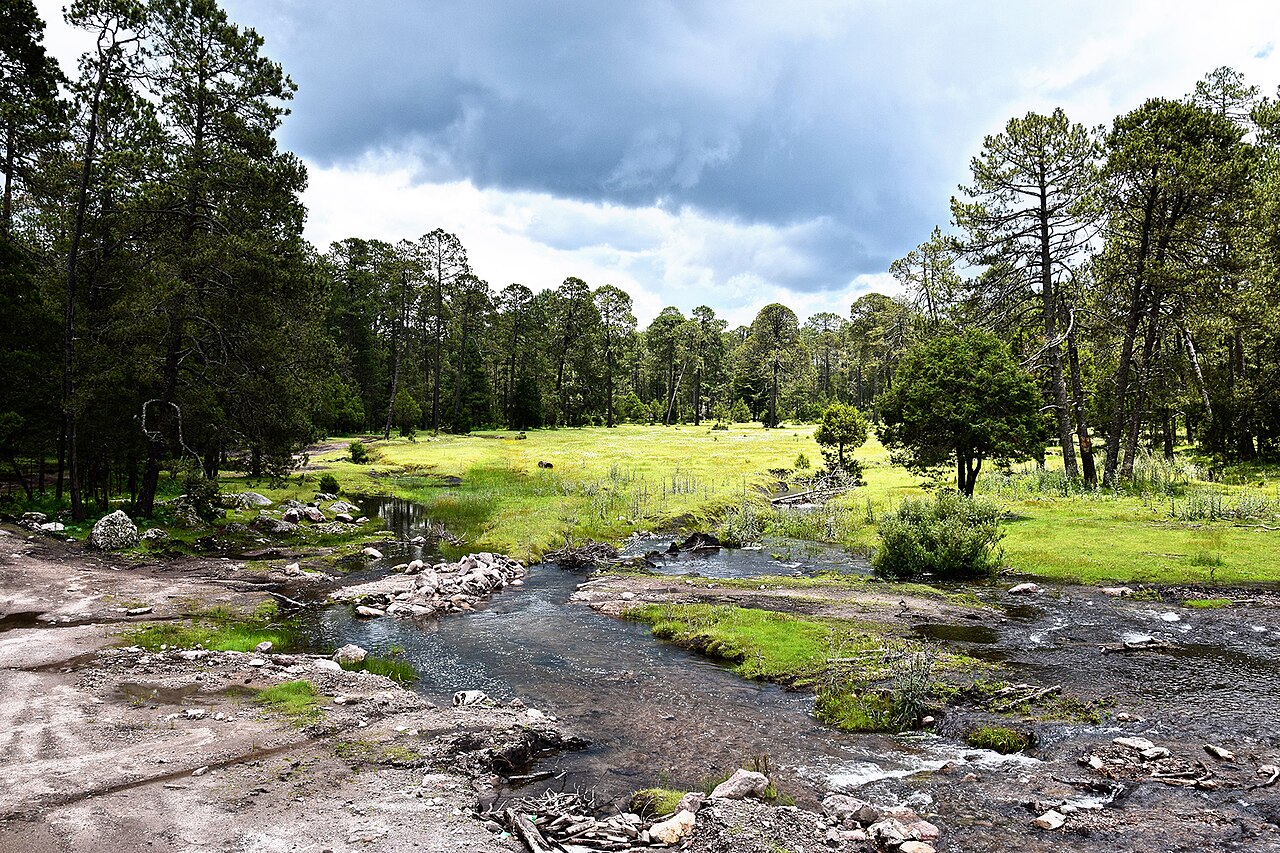 Parque Natural Mexiquillo