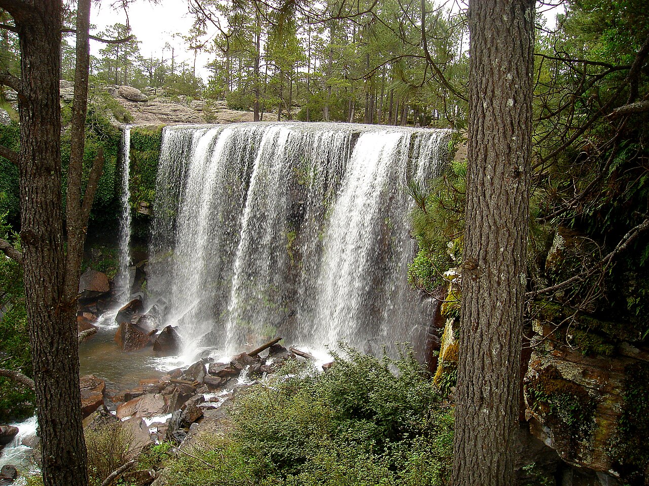Foto de Parque Natural Mexiquillo (3)