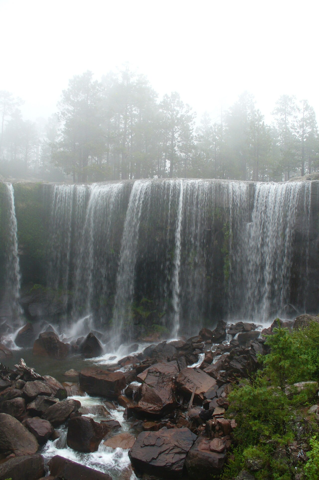 Foto de Parque Natural Mexiquillo (4)