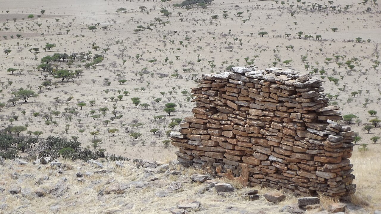 Photo of Zona arqueológica La Quemada (5)