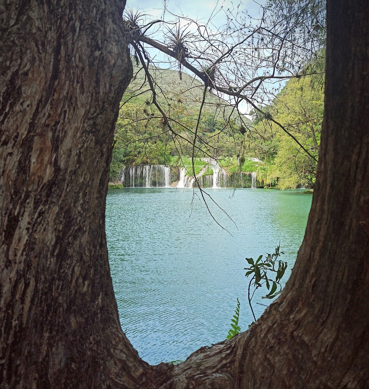 Foto de Cascadas de Micos (4)
