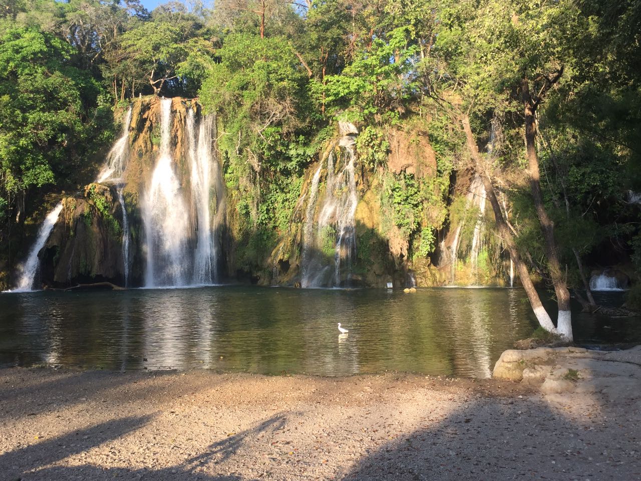 Cascadas de Tamasopo