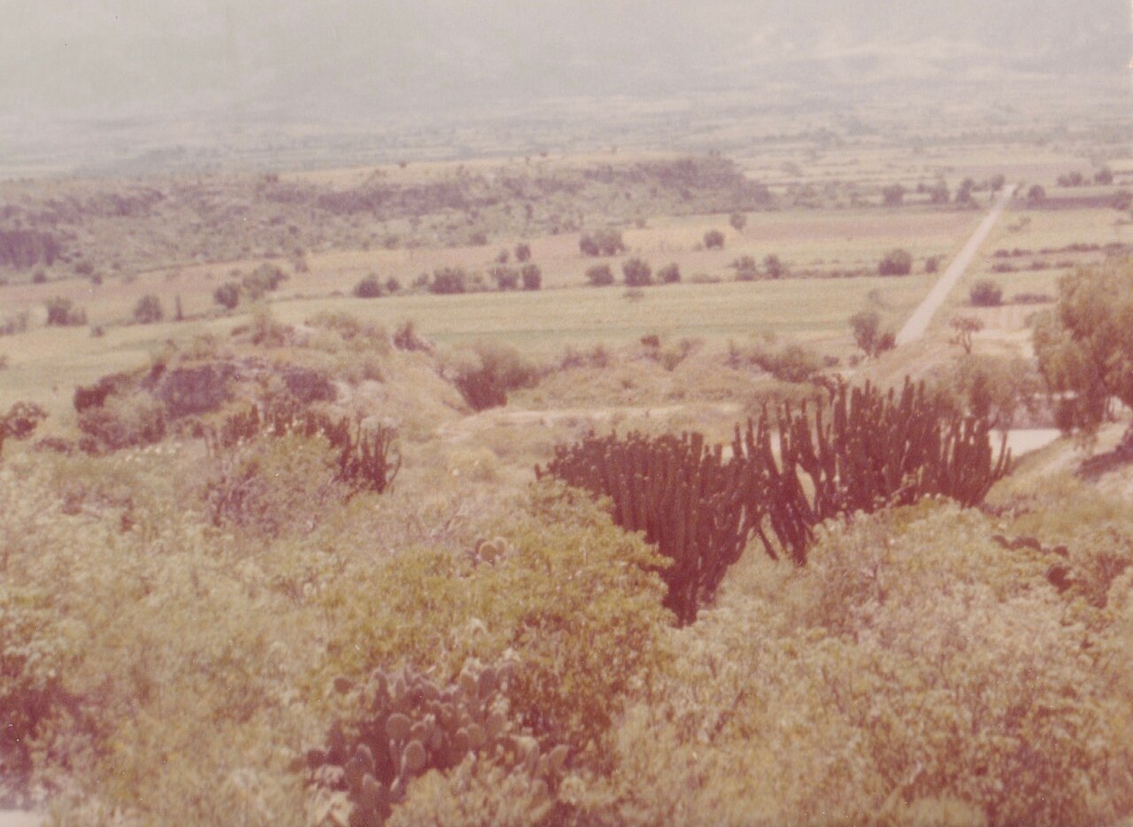 Photo of Zona arqueológica de Yagul (4)