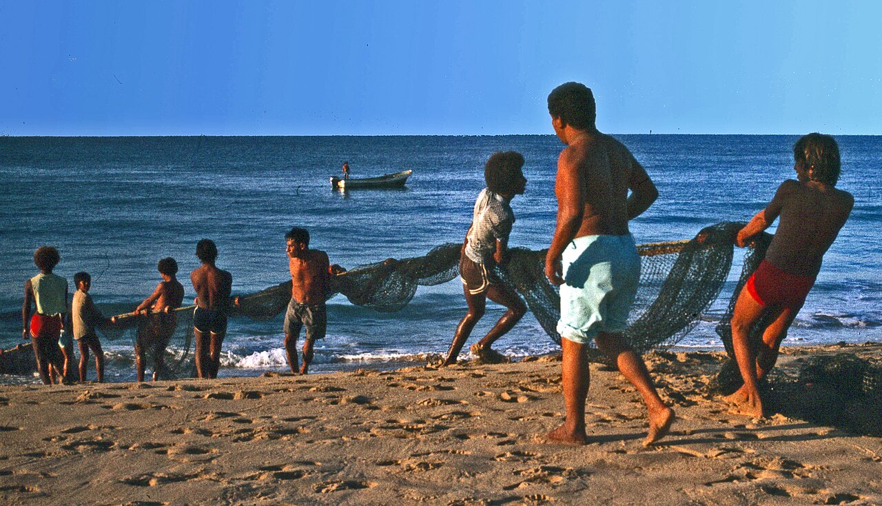 Foto de Playa Pie de la Cuesta y laguna de Coyuca (4)