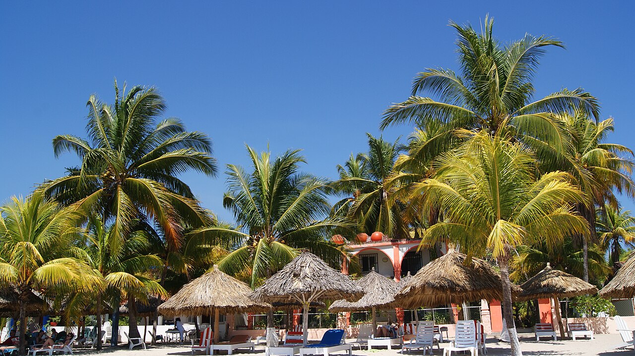 Foto de Playa La Ropa (3)