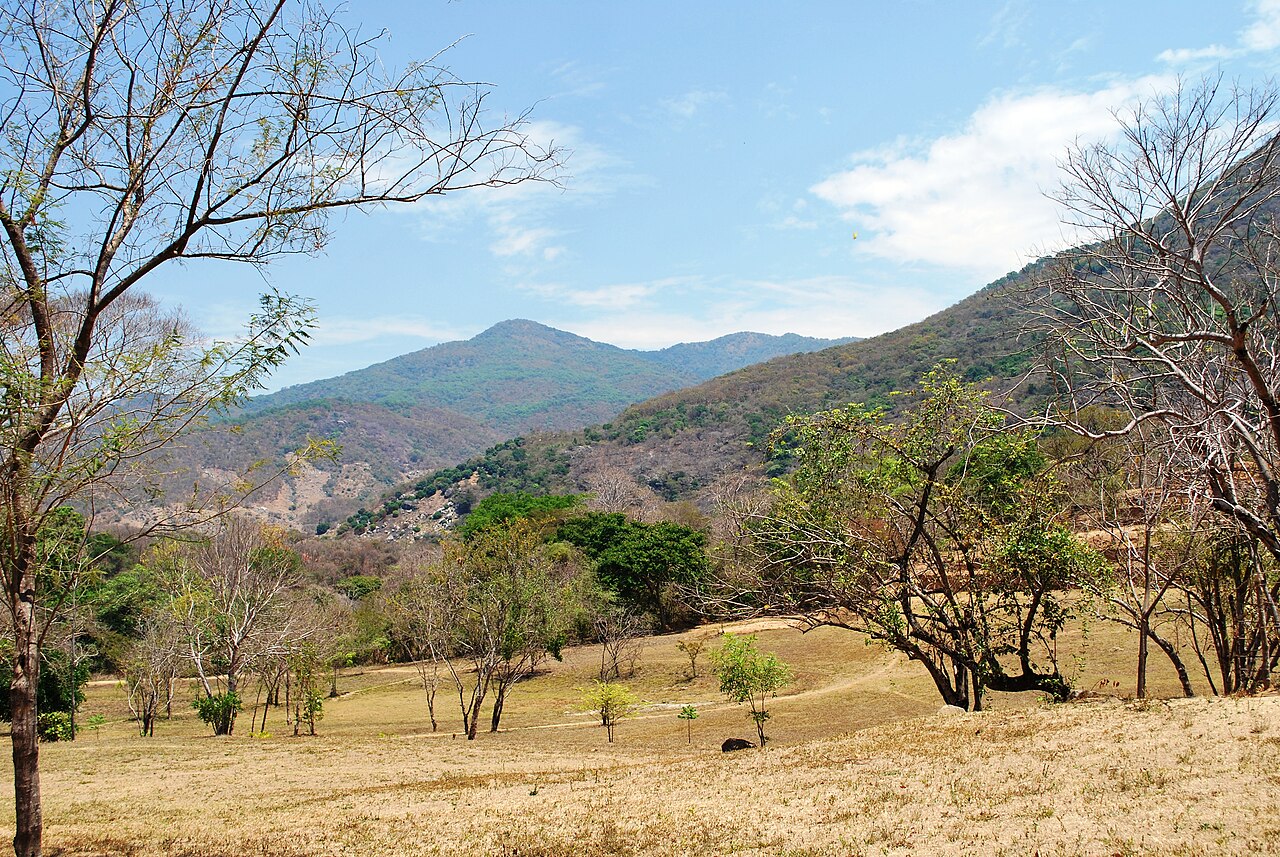Photo of Zona arqueológica de Tehuacalco (4)