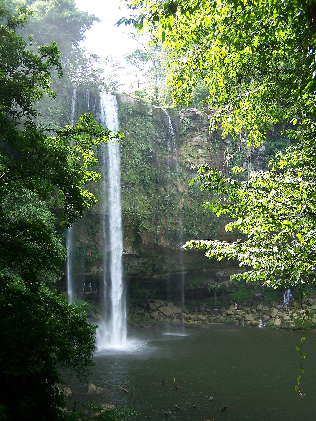 Foto de Cascada de Misol-Ha (4)