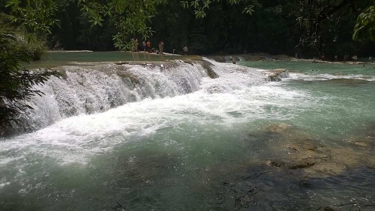 Foto de Cascadas de Agua Azul (5)