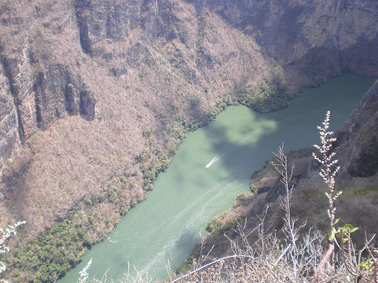 Miradores del Cañón del Sumidero