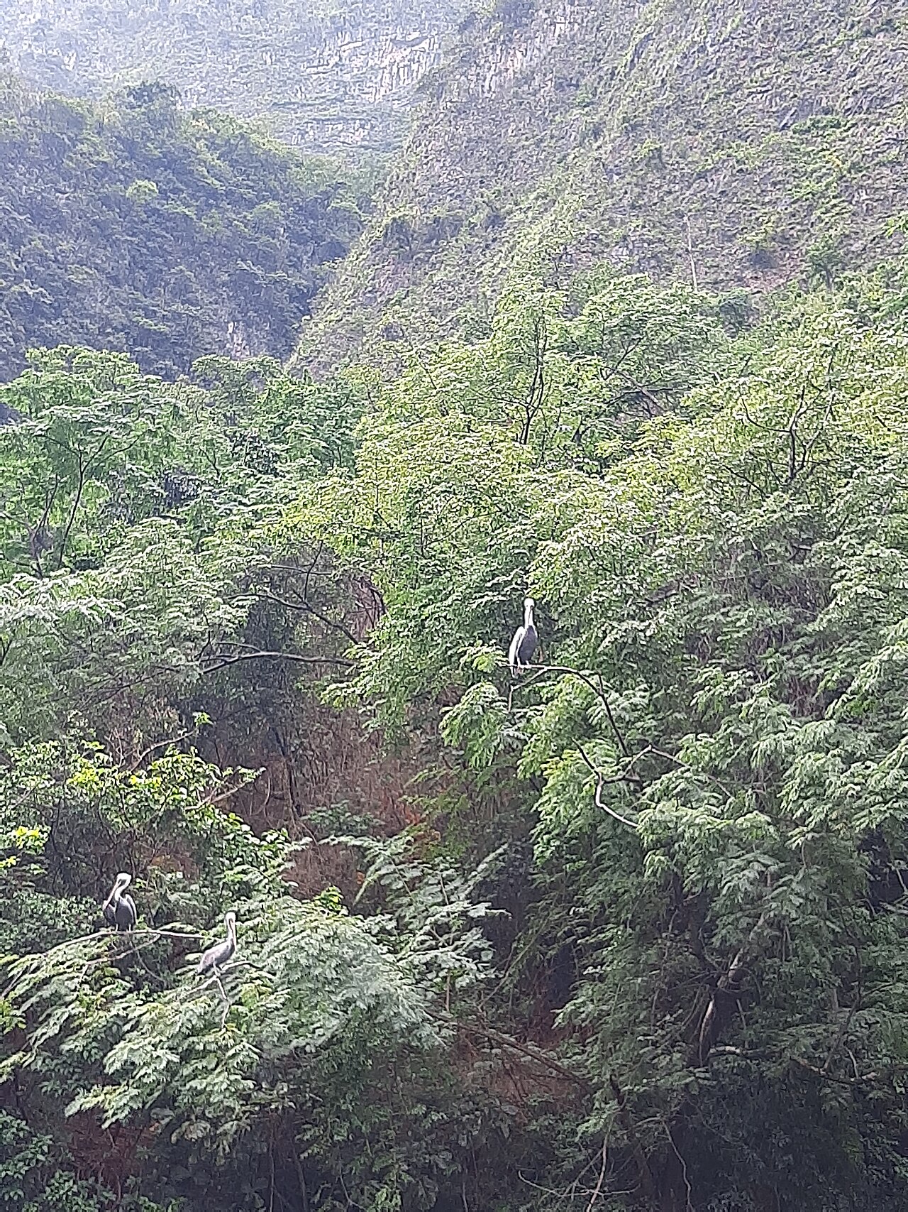 Foto de Miradores del Cañón del Sumidero (5)