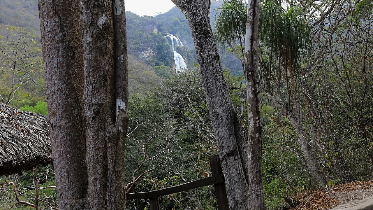 Foto de Cascada El Chiflón (4)