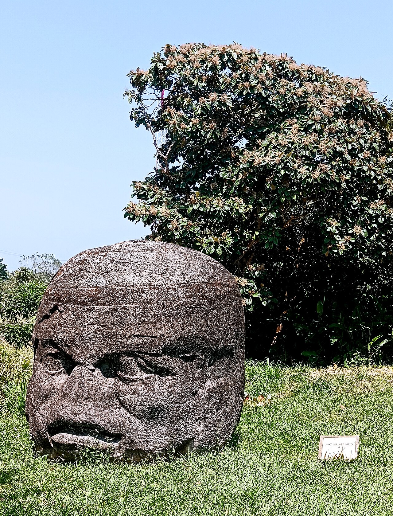 Foto de Zona arqueológica de La Venta (5)