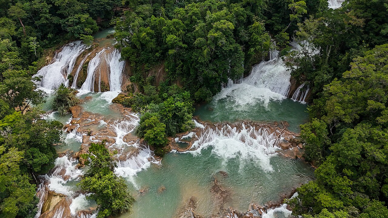Foto de Carretera 199: Ocosingo → Palenque por Agua Azul y Misol-Ha (4)