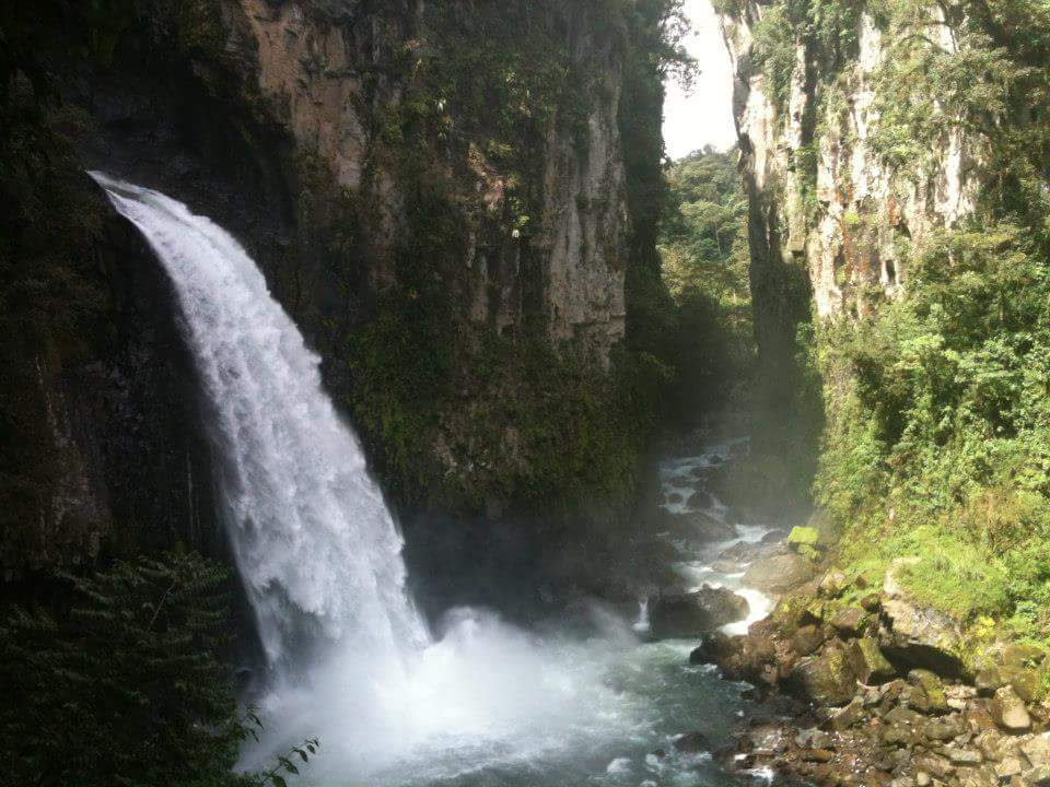 Foto de Cascada de Texolo (4)