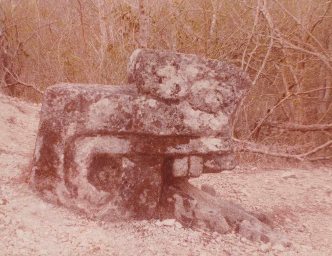 Foto de Zona arqueológica de Mayapán (4)