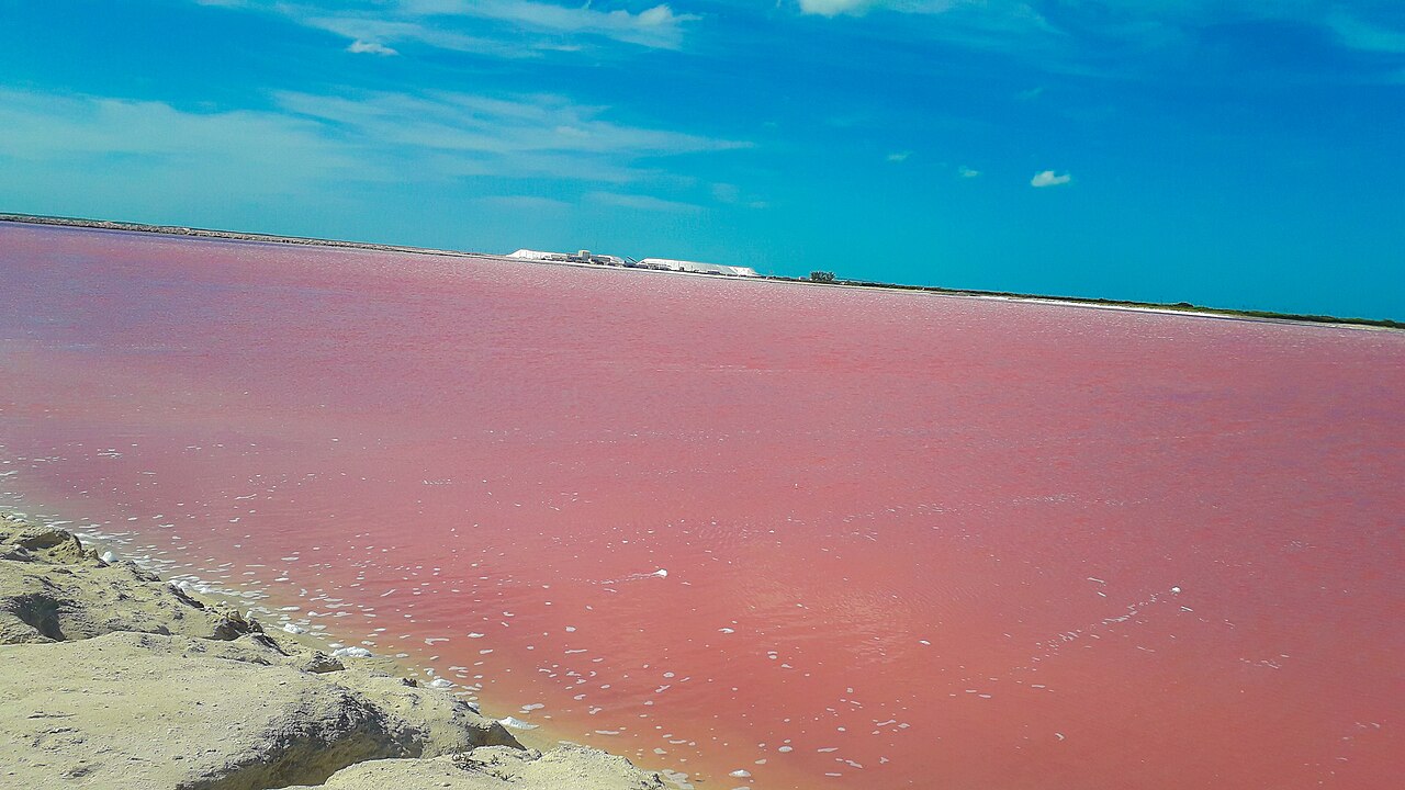 Las Coloradas
