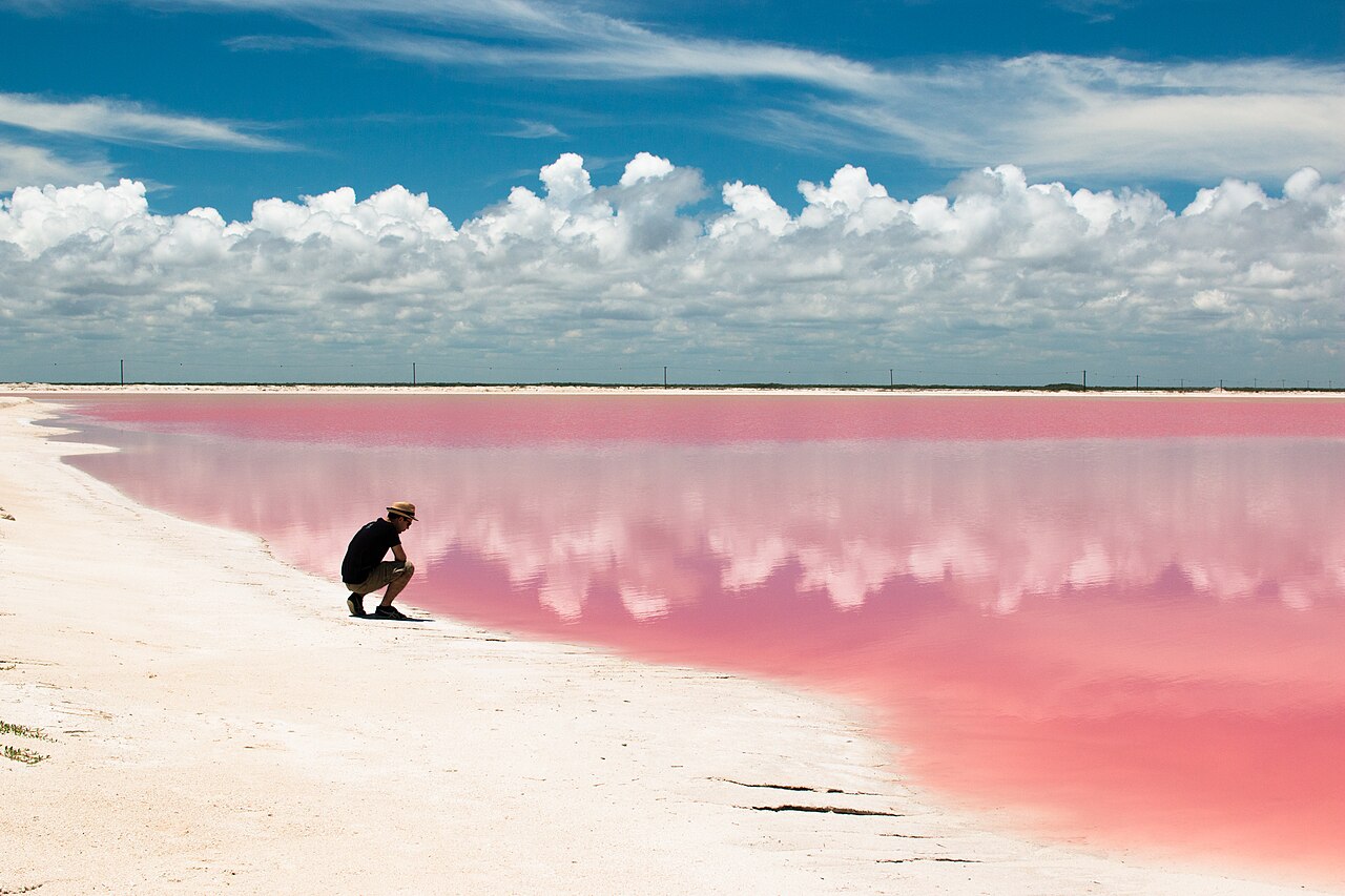 Foto de Las Coloradas (3)