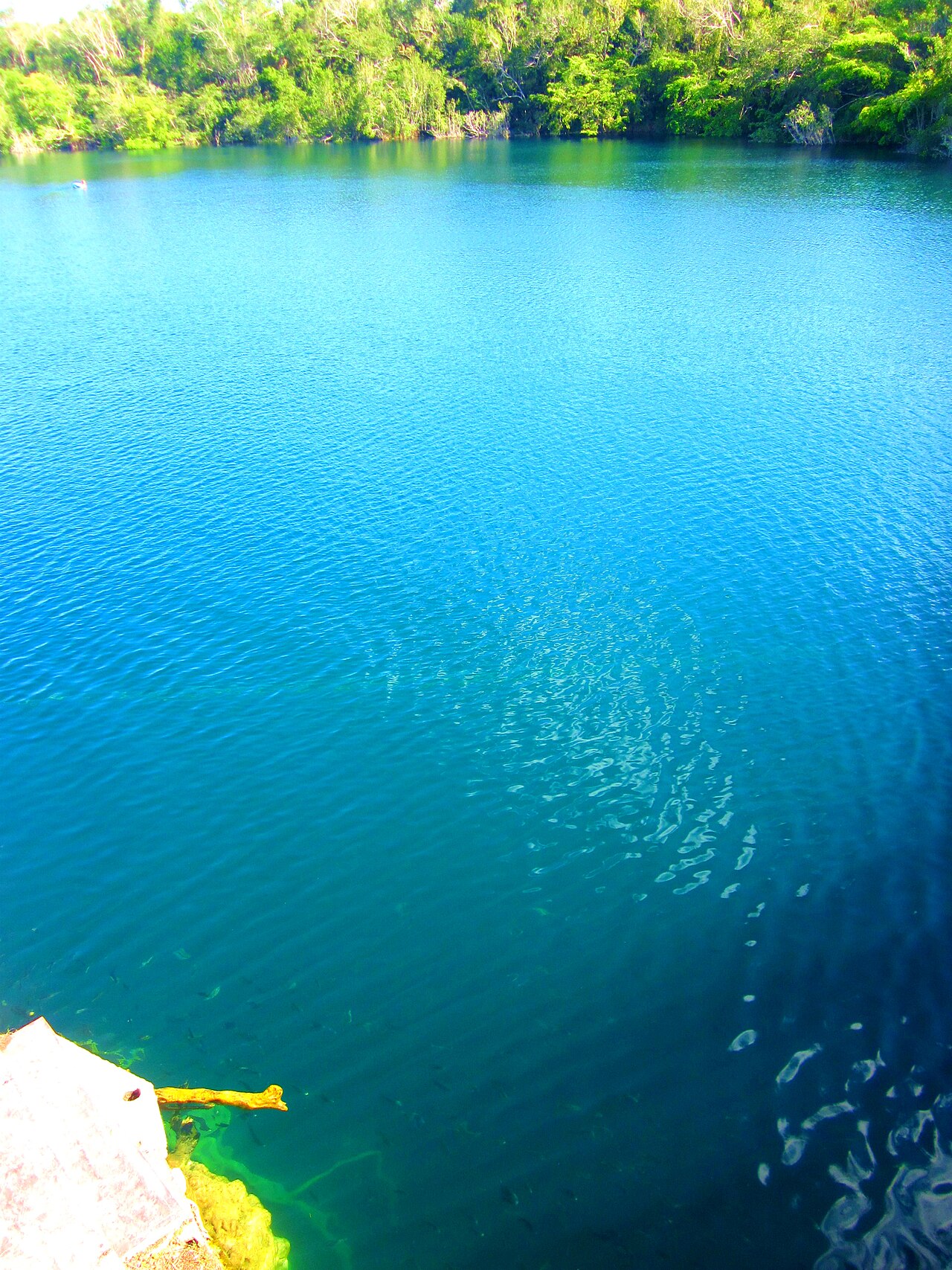 Cenote Azul de Bacalar