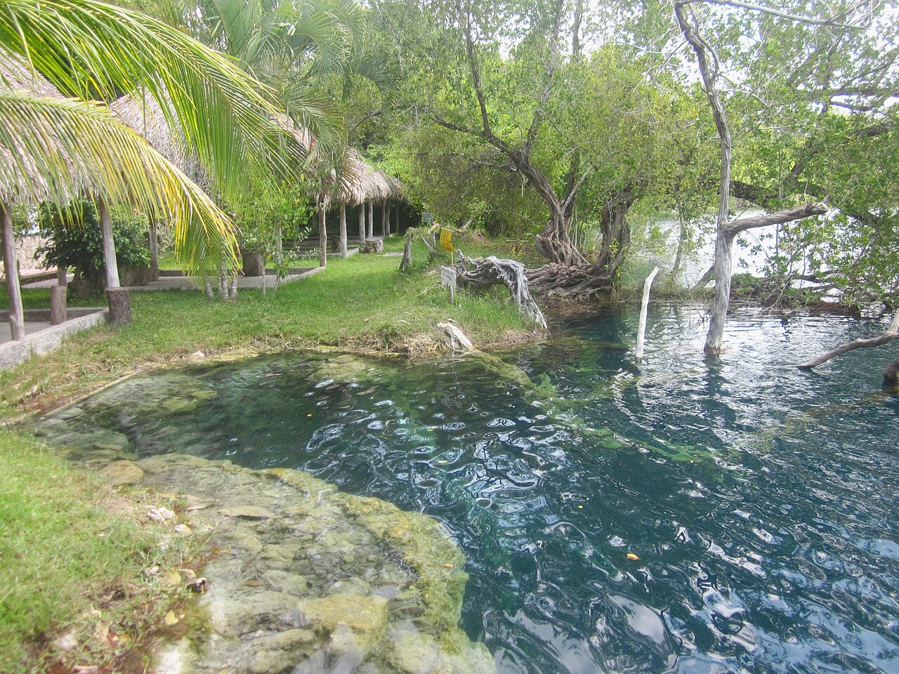 Foto de Cenote Azul de Bacalar (5)