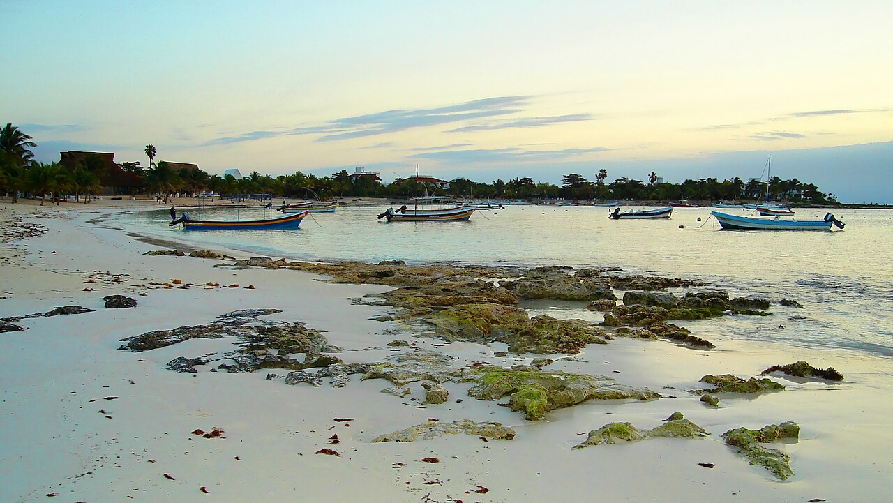 Foto de Playa de Akumal (4)