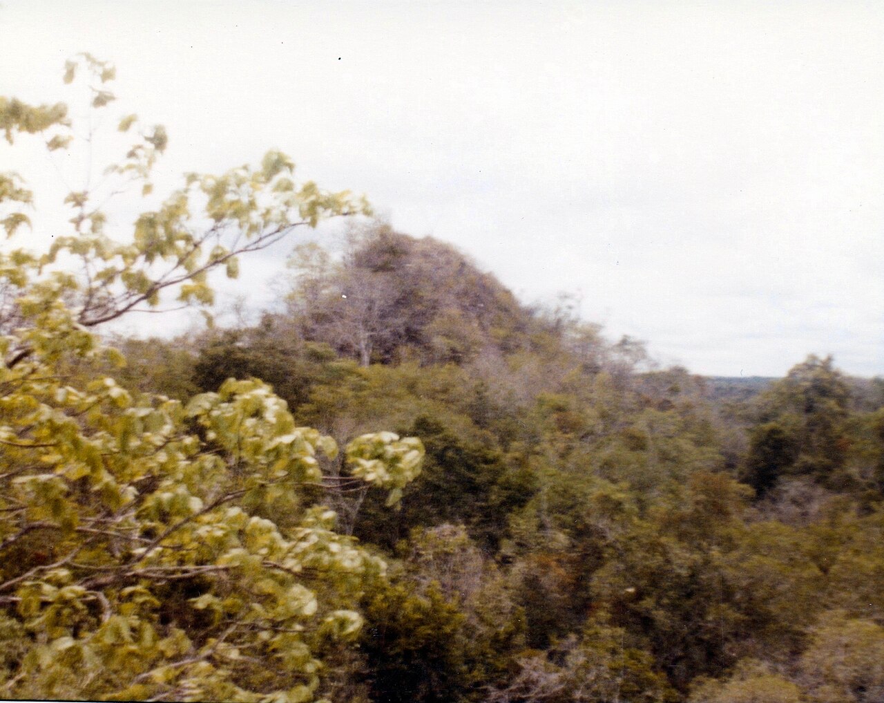 Photo of Zona arqueológica de Becán (3)