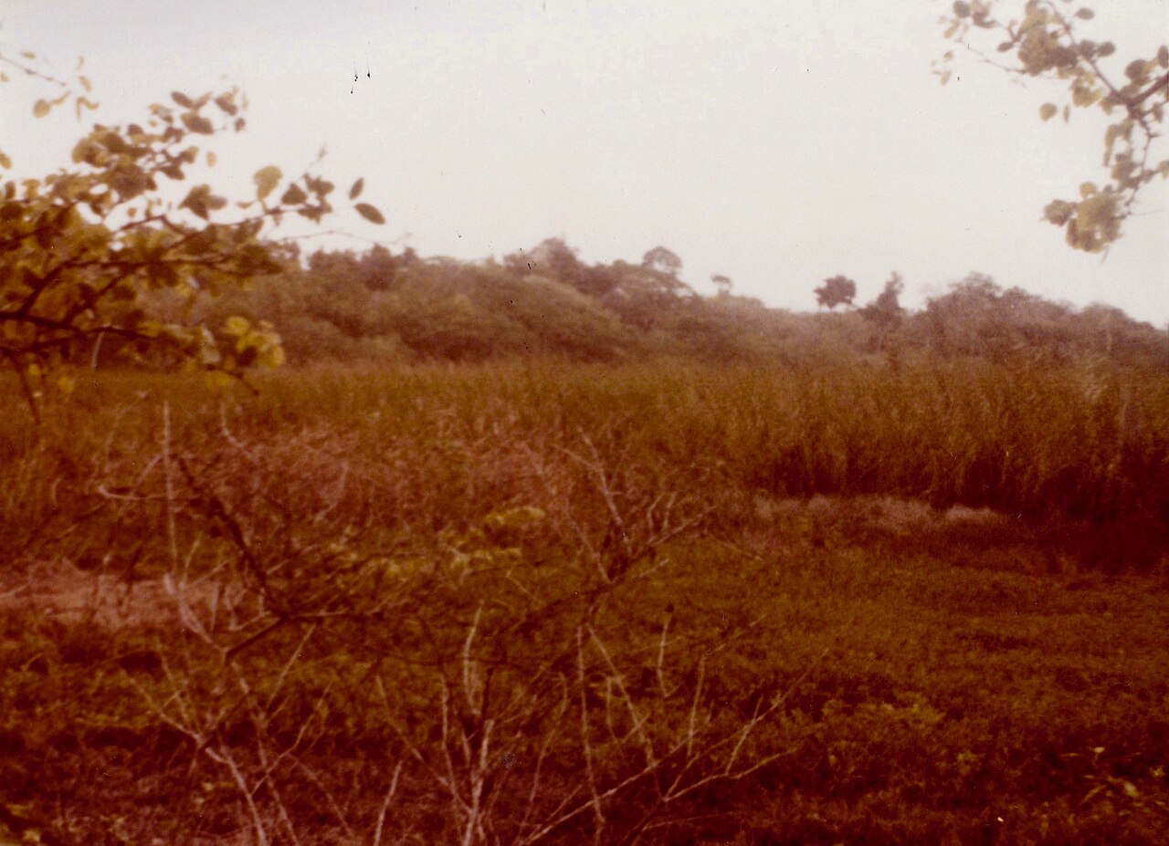 Photo of Zona arqueológica de Becán (5)