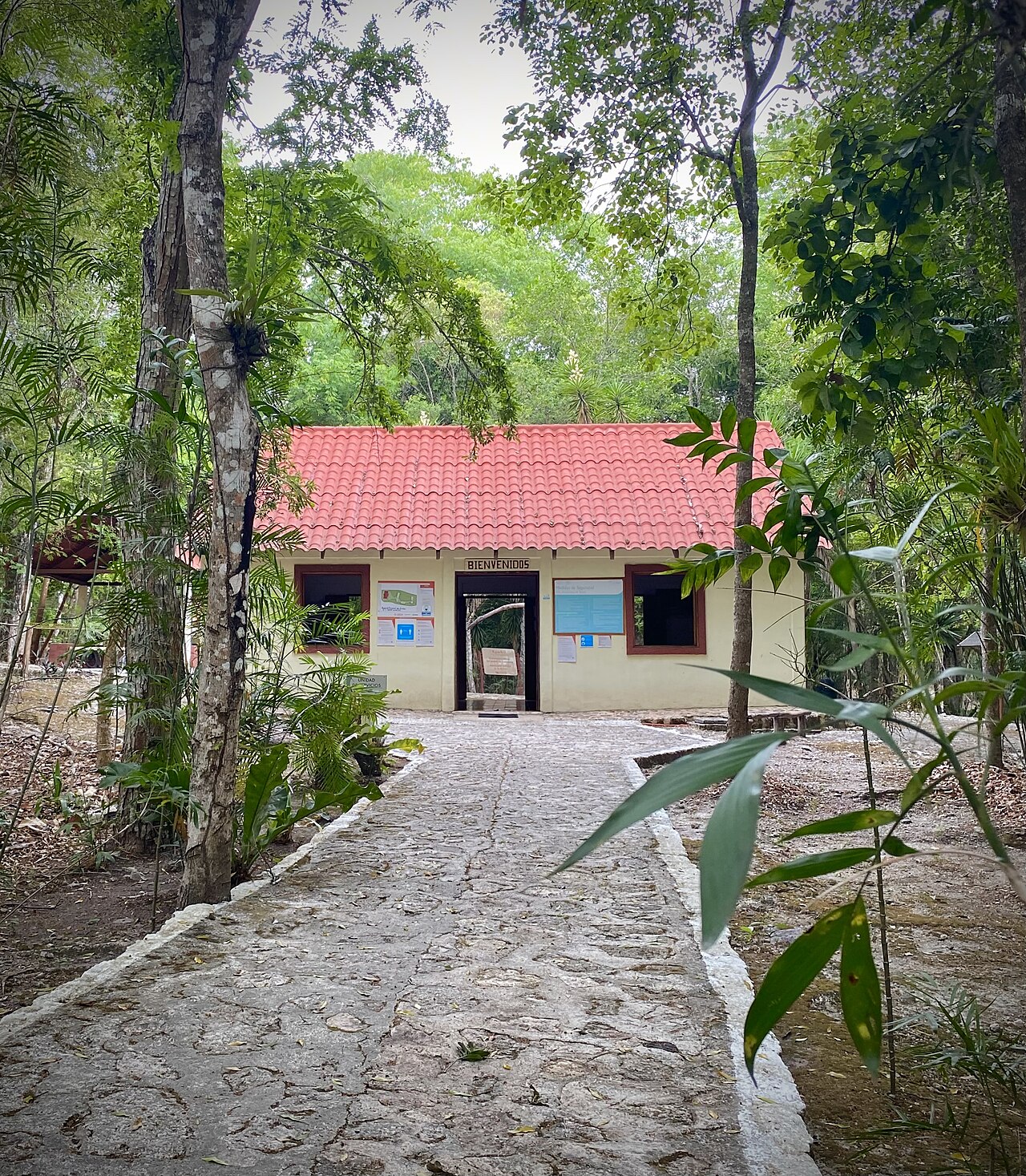 Photo of Zona arqueológica de Xpujil (4)