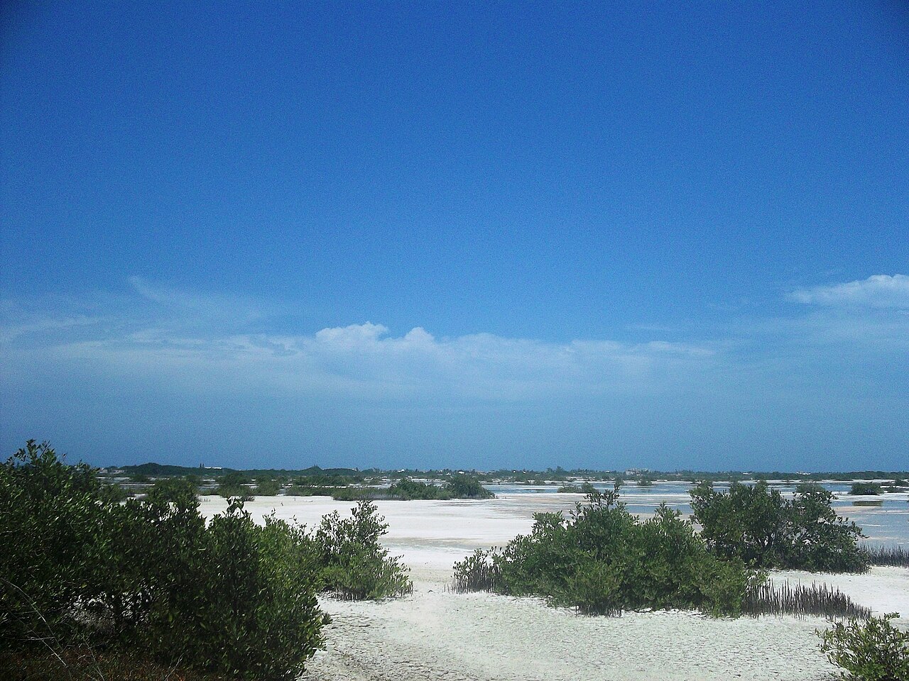 Photo of Costera: Progreso → Telchac Puerto (4)