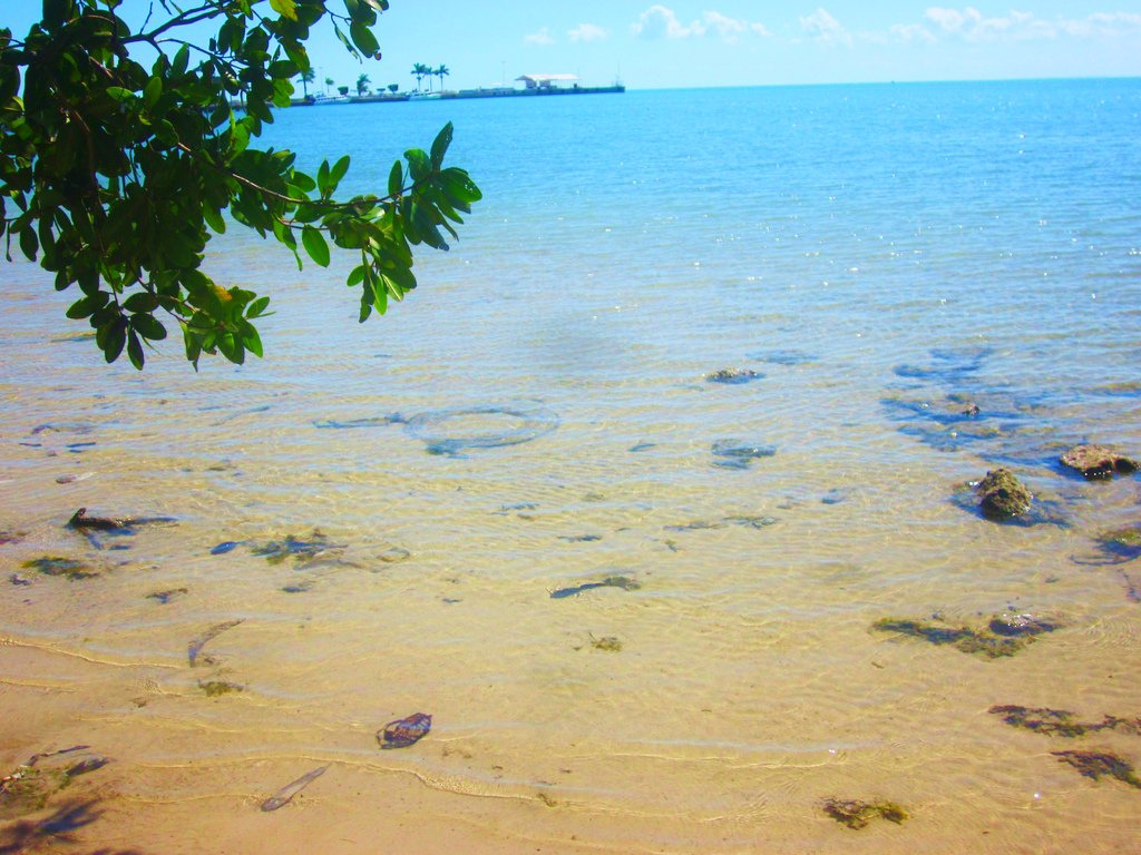 Photo of Chetumal → Calderitas por el bulevar Bahía (3)