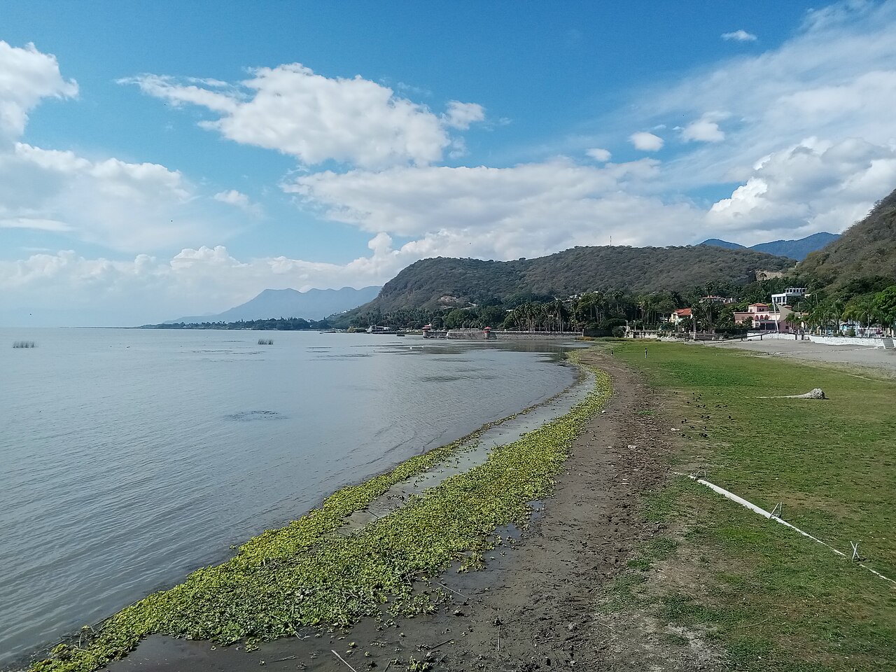 Foto de Malecón de Chapala (3)