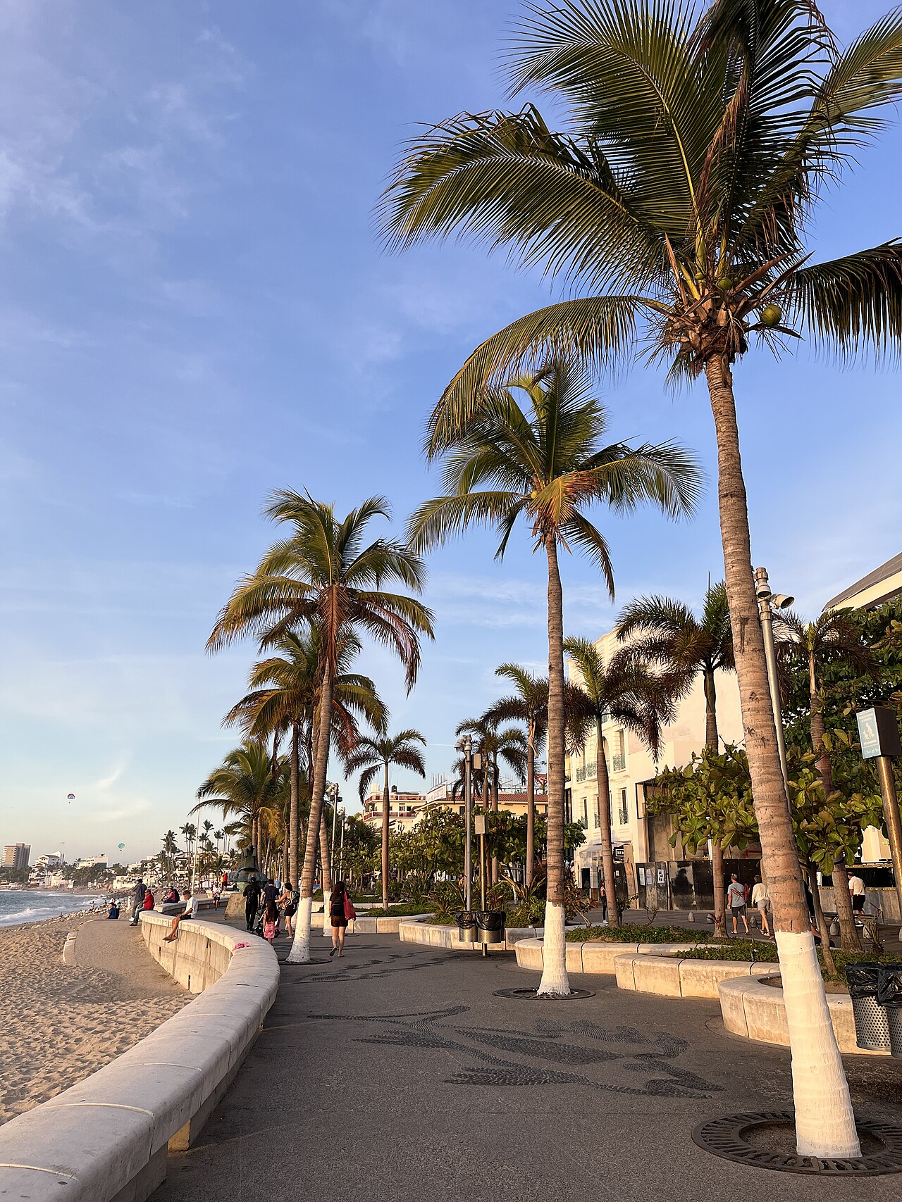 Photo of Malecón de Puerto Vallarta (3)