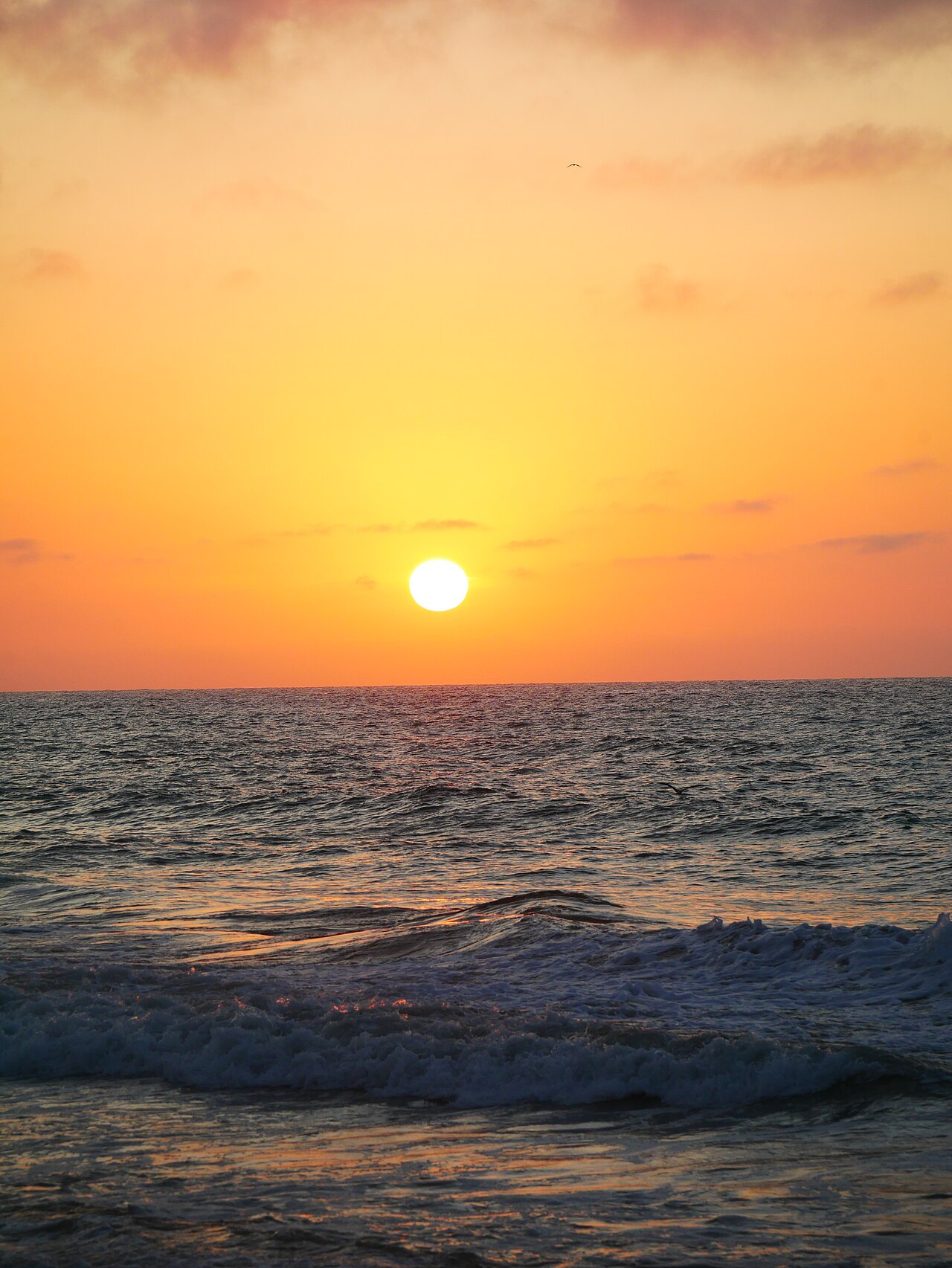 Foto de Playa de San Pancho (4)