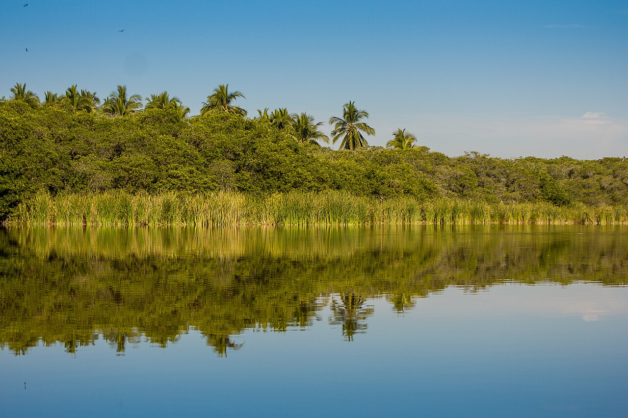 Photo of Playa de Cuyutlán (4)