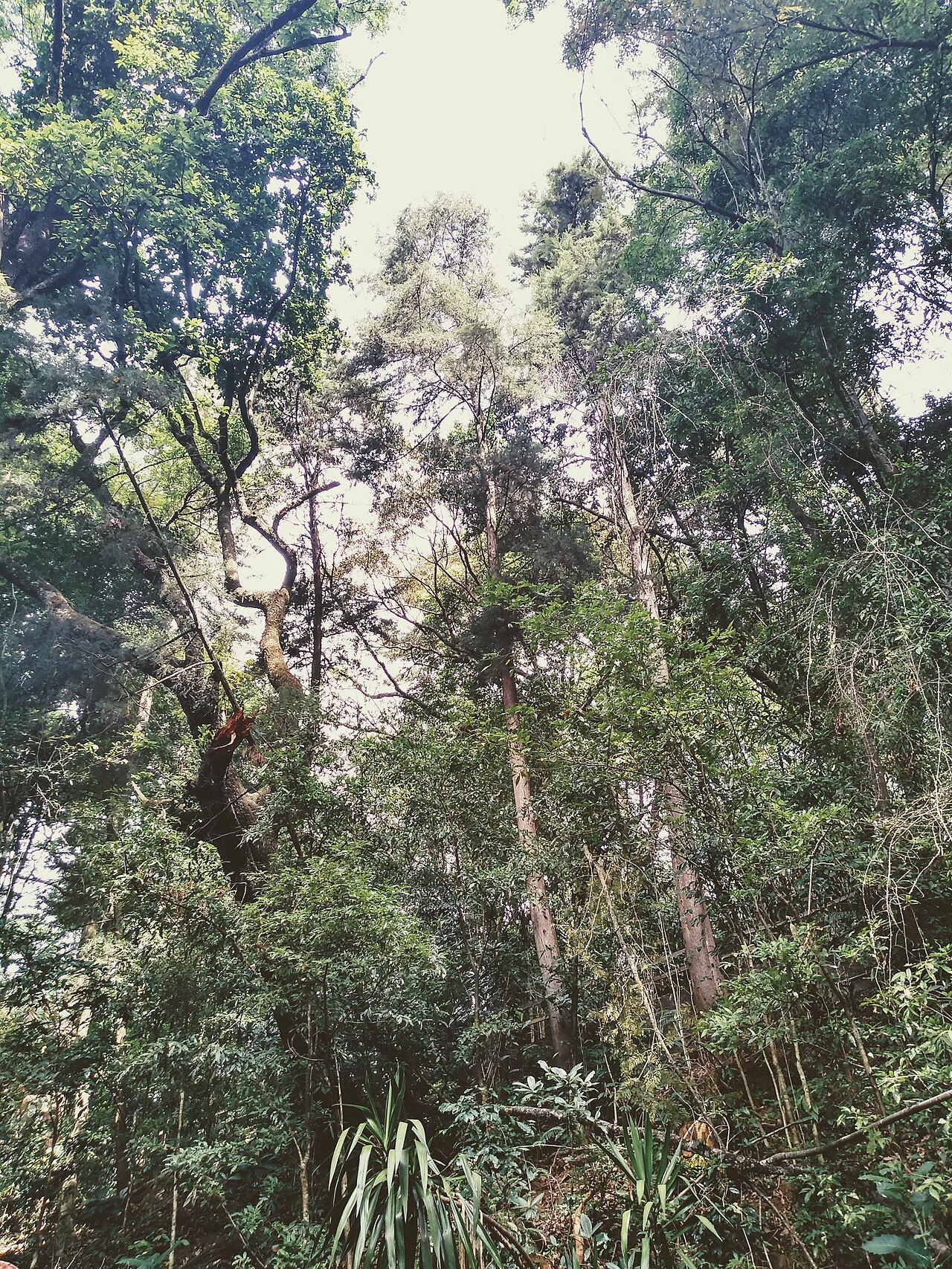 Parque Nacional Barranca del Cupatitzio