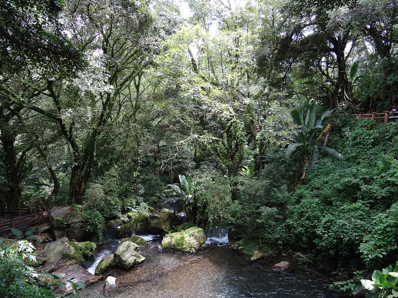 Foto de Parque Nacional Barranca del Cupatitzio (3)